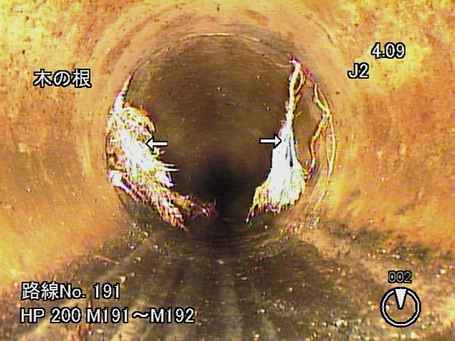 下水管管内状況（木の根）